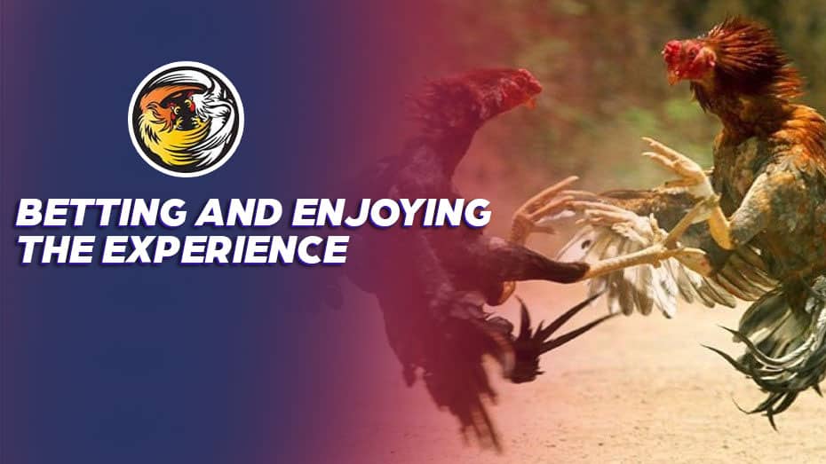 pg soft slot free 100 bonus register no deposit